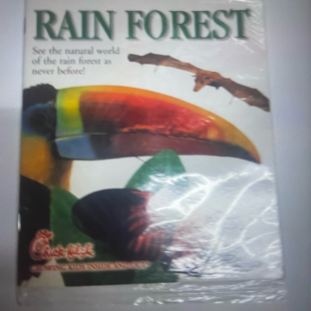 Rain Forest, See the Natural World of the Rain Forest As Never Before